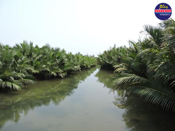Rừng dừa nước Trà Nhiêu.